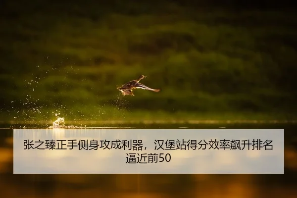张之臻正手侧身攻成利器，汉堡站得分效率飙升排名逼近前50
