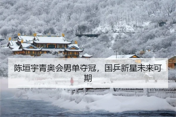 陈垣宇青奥会男单夺冠，国乒新星未来可期