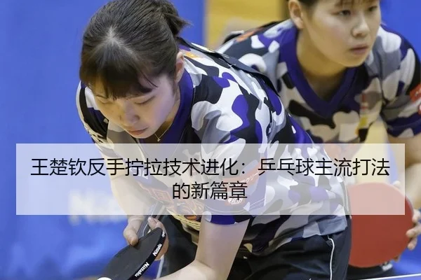 wang-chu-qin-fan-shou-ning-la-ji-shu-jin-hua-ping-pang-qiu-zhu-liu-da-fa-de-xin-pian-zhang-2-844.jpg