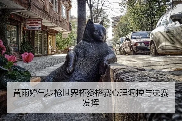 huang-yu-ting-qi-bu-qiang-shi-jie-bei-zi-ge-sai-xin-li-tiao-kong-yu-jue-sai-fa-hui-2-221.jpg