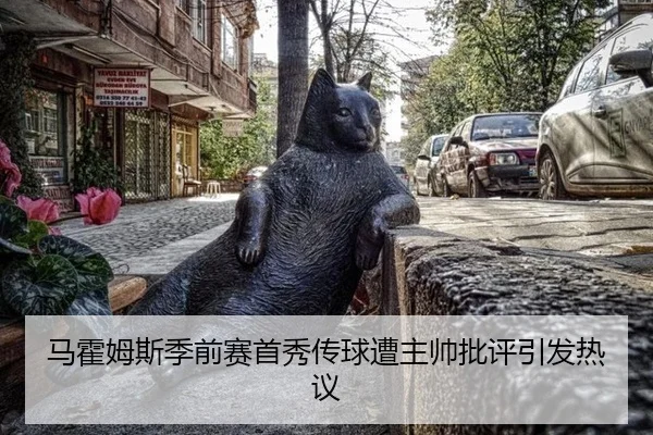 马霍姆斯季前赛首秀传球遭主帅批评引发热议