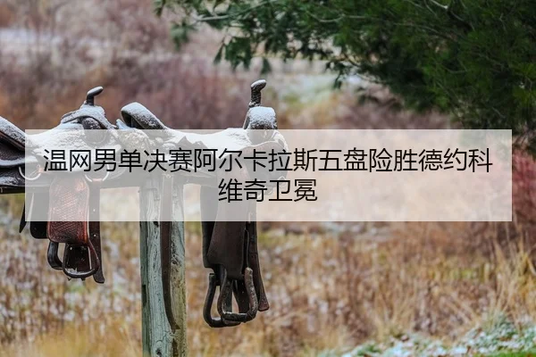 温网男单决赛阿尔卡拉斯五盘险胜德约科维奇卫冕